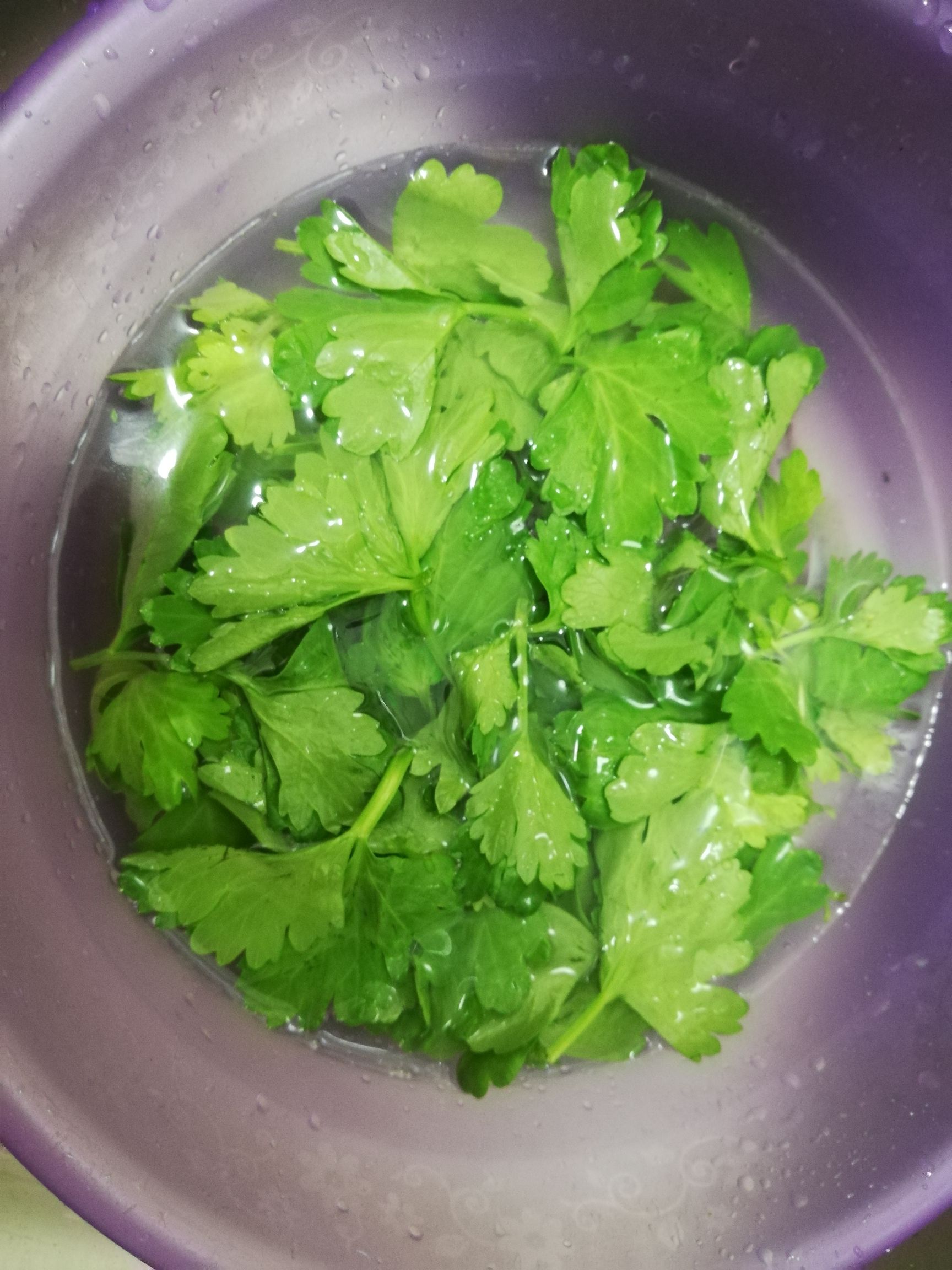 芹菜叶煎蛋的步骤
