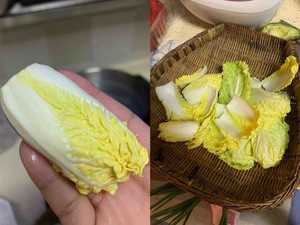 进阶版番茄煎蛋面的步骤